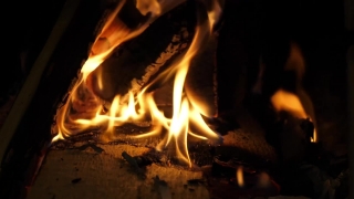 No Copyright Video, No Copyright Stock Footage, No Copyright Stock Video Clip