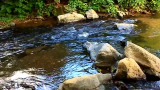 No Copyright Video, No Copyright Stock Footage, No Copyright Stock Video Clip