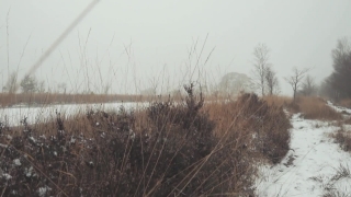 No Copyright Video, No Copyright Stock Footage, No Copyright Stock Video Clip