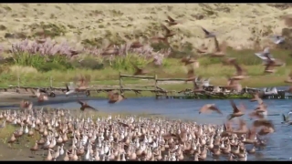 No Copyright Video, No Copyright Stock Footage, No Copyright Stock Video Clip