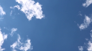 No Copyright Video, No Copyright Stock Footage, No Copyright Stock Video Clip