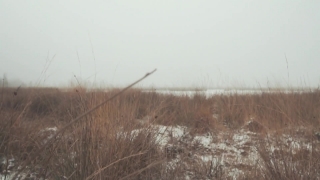 No Copyright Video, No Copyright Stock Footage, No Copyright Stock Video Clip