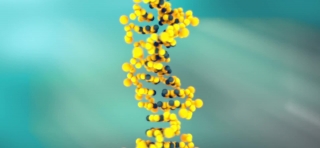 No Copyright Video, No Copyright Stock Footage, No Copyright Stock Video Clip