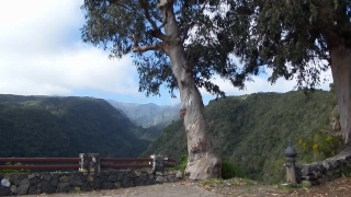 No Copyright Video, No Copyright Stock Footage, No Copyright Stock Video Clip