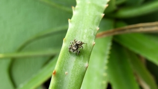 No Copyright Video, No Copyright Stock Footage, No Copyright Stock Video Clip