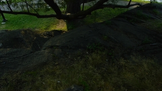 No Copyright Video, No Copyright Stock Footage, No Copyright Stock Video Clip