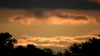 No Copyright Video, No Copyright Stock Footage, No Copyright Stock Video Clip