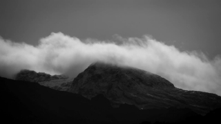 No Copyright Video, No Copyright Stock Footage, No Copyright Stock Video Clip