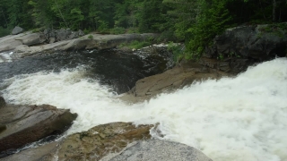 No Copyright Video, No Copyright Stock Footage, No Copyright Stock Video Clip