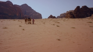 No Copyright Video, No Copyright Stock Footage, No Copyright Stock Video Clip