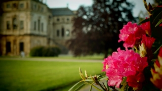 No Copyright Video, No Copyright Stock Footage, No Copyright Stock Video Clip