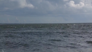 No Copyright Video, No Copyright Stock Footage, No Copyright Stock Video Clip