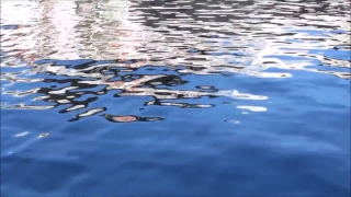 No Copyright Video, No Copyright Stock Footage, No Copyright Stock Video Clip