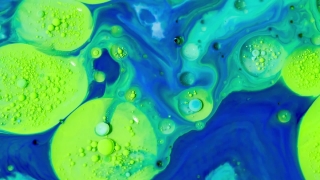 No Copyright Video, No Copyright Stock Footage, No Copyright Stock Video Clip