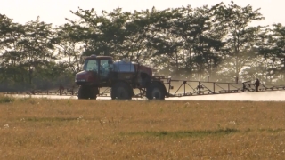 No Copyright Video, No Copyright Stock Footage, No Copyright Stock Video Clip