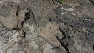 No Copyright Video, No Copyright Stock Footage, No Copyright Stock Video Clip