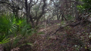 No Copyright Video, No Copyright Stock Footage, No Copyright Stock Video Clip