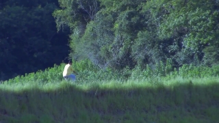 No Copyright Video, No Copyright Stock Footage, No Copyright Stock Video Clip