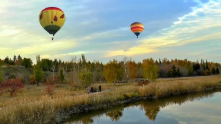 No Copyright Video, No Copyright Stock Footage, No Copyright Stock Video Clip