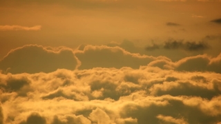 No Copyright Video, No Copyright Stock Footage, No Copyright Stock Video Clip