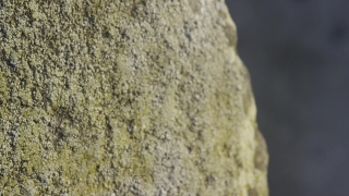 No Copyright Video, No Copyright Stock Footage, No Copyright Stock Video Clip