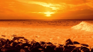 No Copyright Video, No Copyright Stock Footage, No Copyright Stock Video Clip