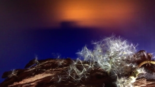 No Copyright Video, No Copyright Stock Footage, No Copyright Stock Video Clip