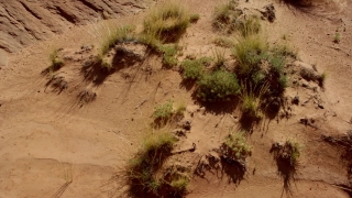 No Copyright Video, No Copyright Stock Footage, No Copyright Stock Video Clip